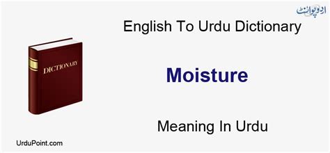 moisture meter meaning in urdu|Moisture meaning in Hindi & Urdu with Example Sentences.